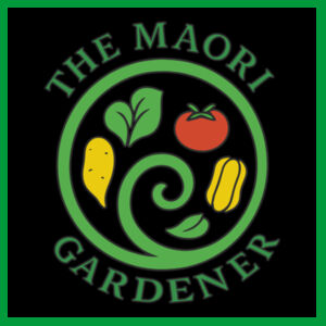 Mens Light Hoodies, Front TMG Lapel Logo & LG1 Graphic on Back  Design